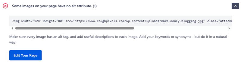 AIOSEO site audit for Rough Pixels - show the error