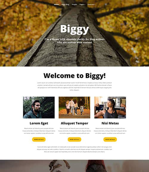 screenshot of for the Biggy theme