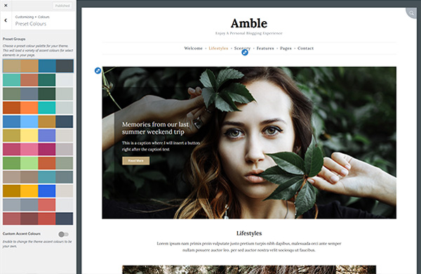 screenshot showing the Amble colour options
